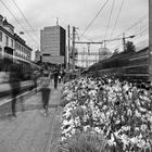 20180503_St_Gallen_Bahnhofstrasse