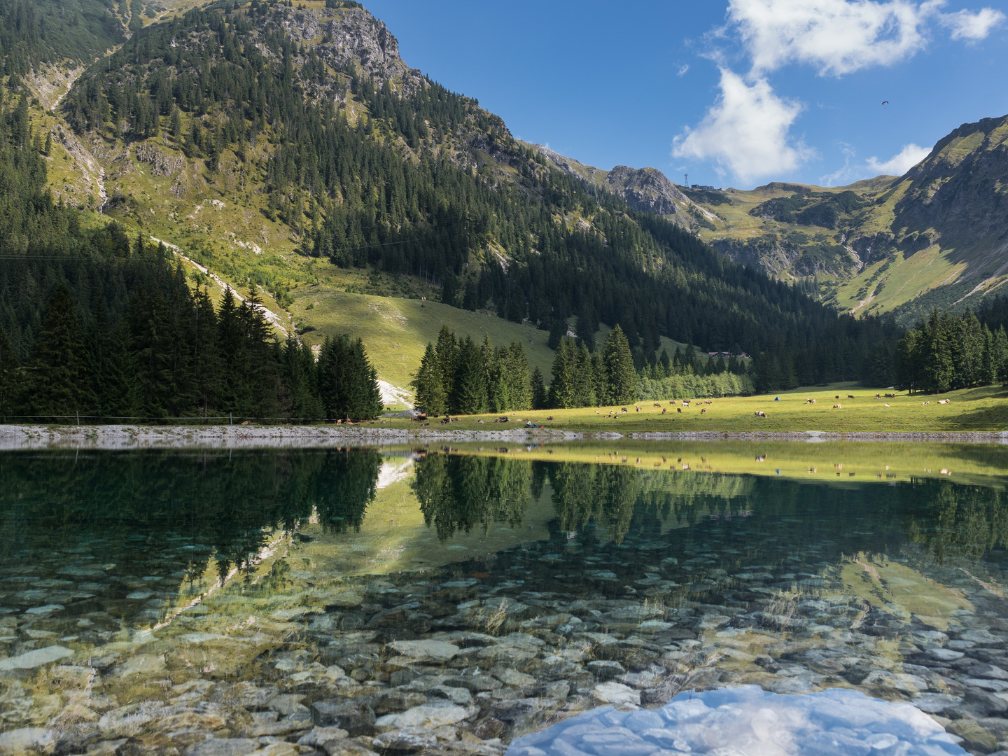 20180908 Nebelhorn-Breitachklamm-052