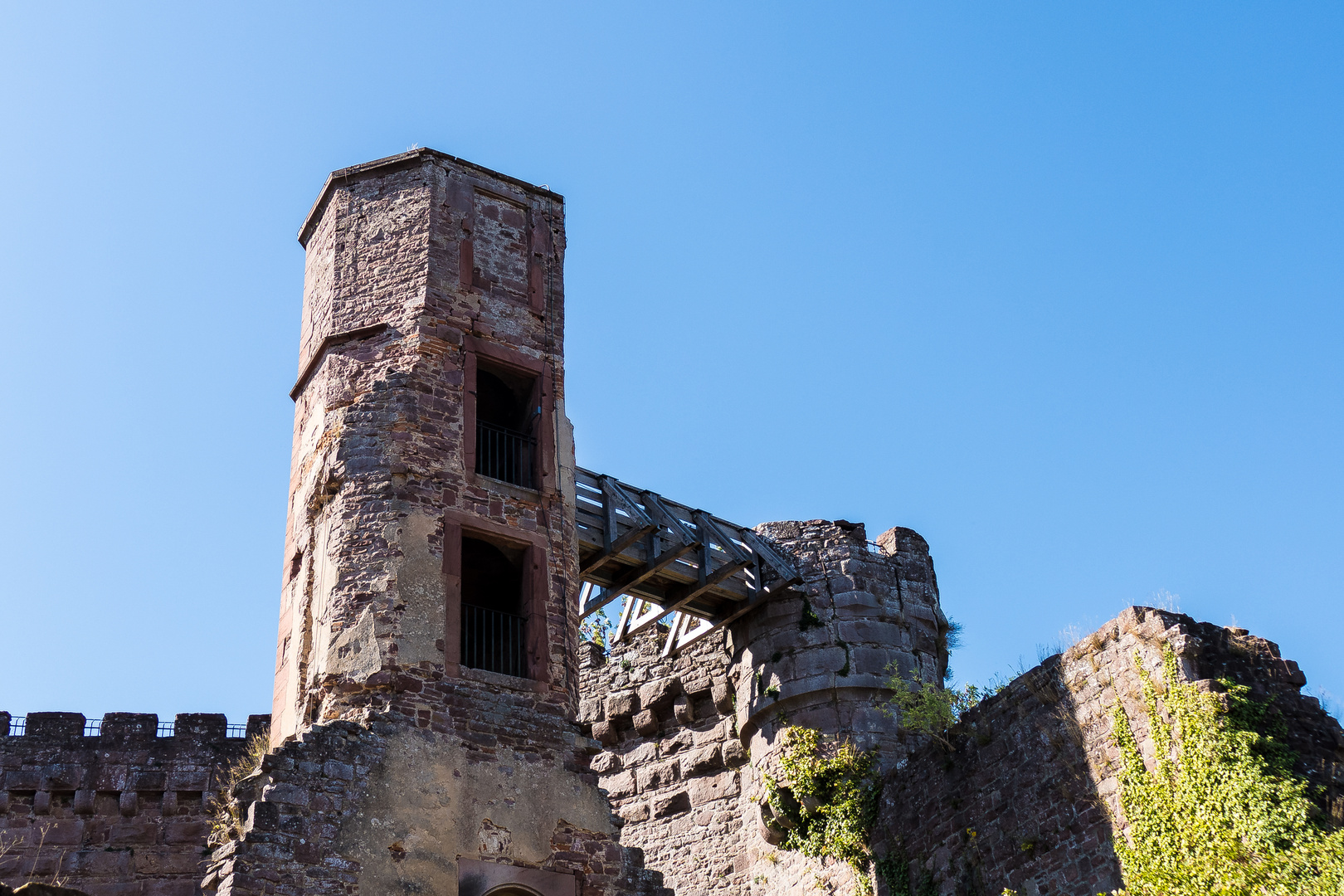 20180912-P1130942Distelburg