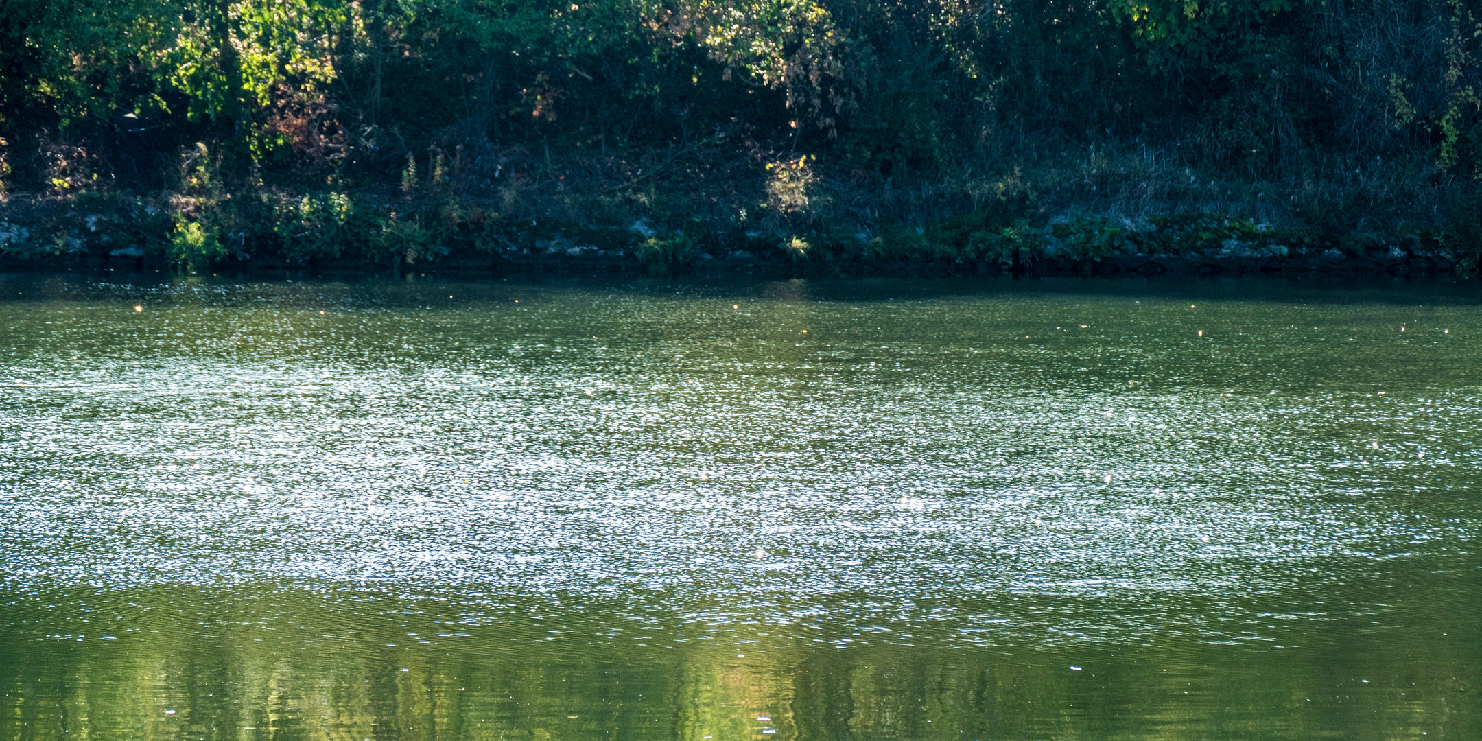 20181008-P1140089Flusslauf