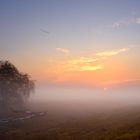 20181017 Sonnenaufgang mit Nebel auf den Oderwiesen fc