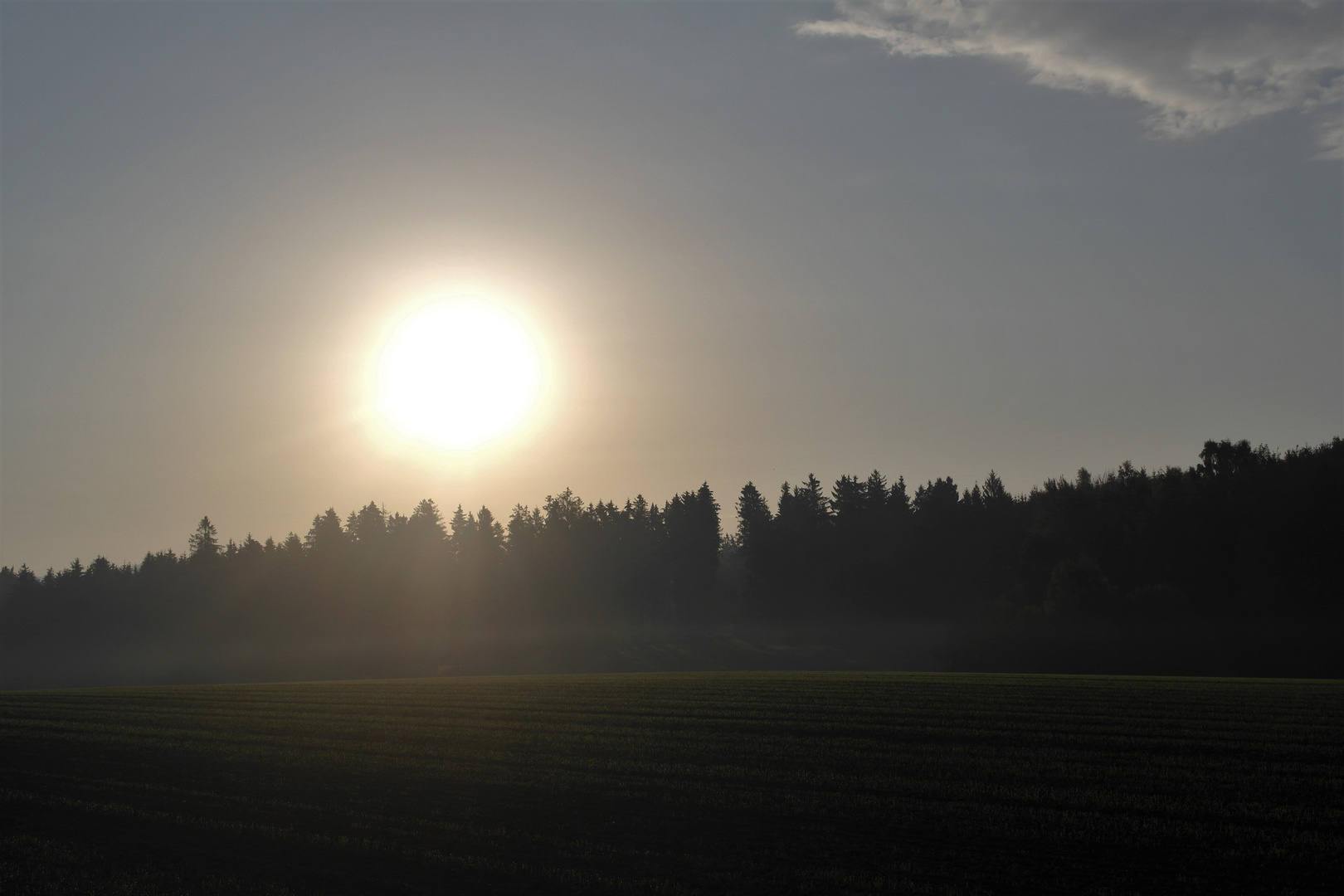 20181017  Sonnenaufgang über den Baumspitzen