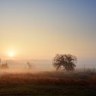 20181018 Nebel am Deich