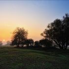 20181018 Nebel auf den Oderwiesen