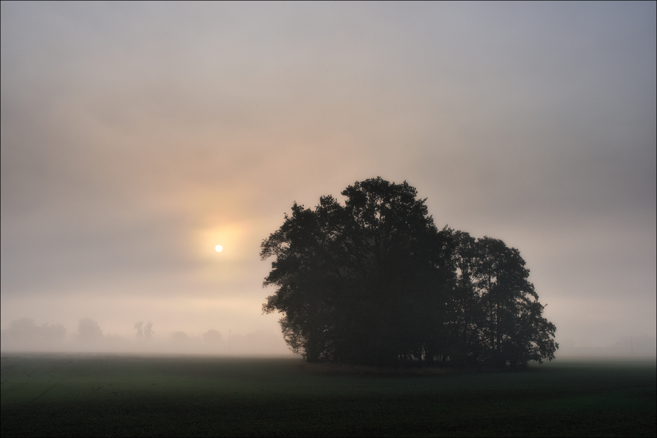 20181018 Nebel im Oderbruch