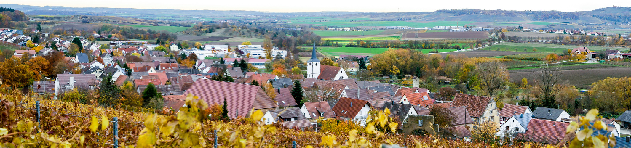 20181112-P1000450Land-Panorama