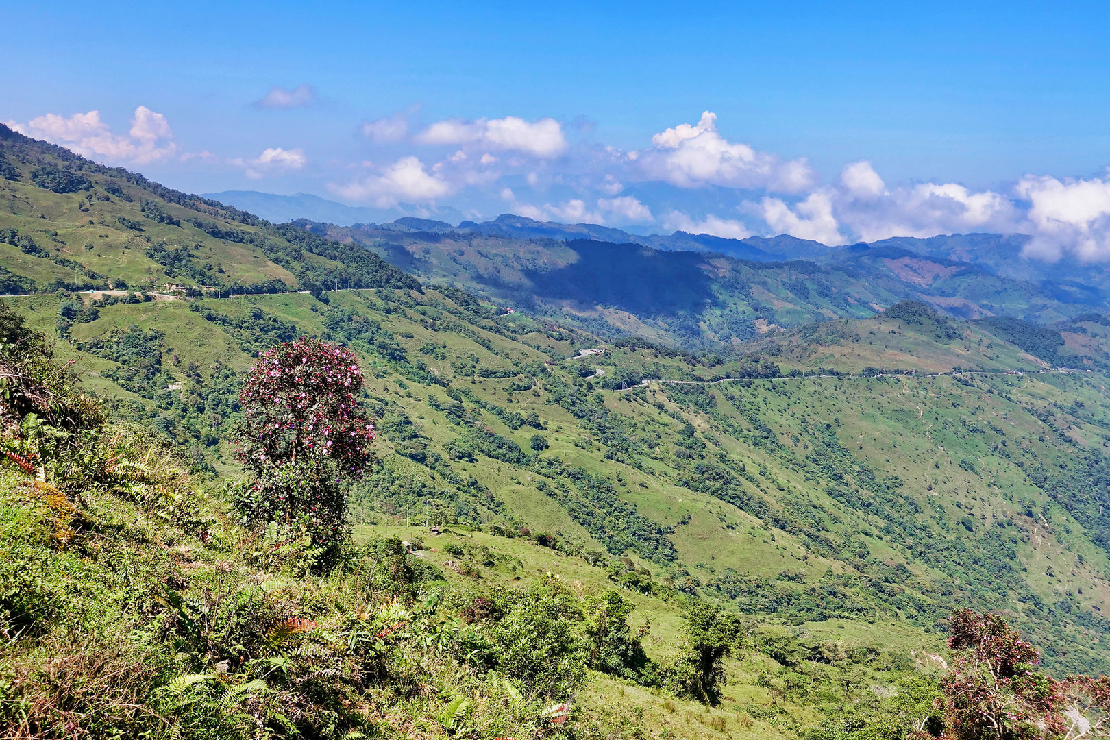 2018.12.30, Alto de Ventanas, Colombia