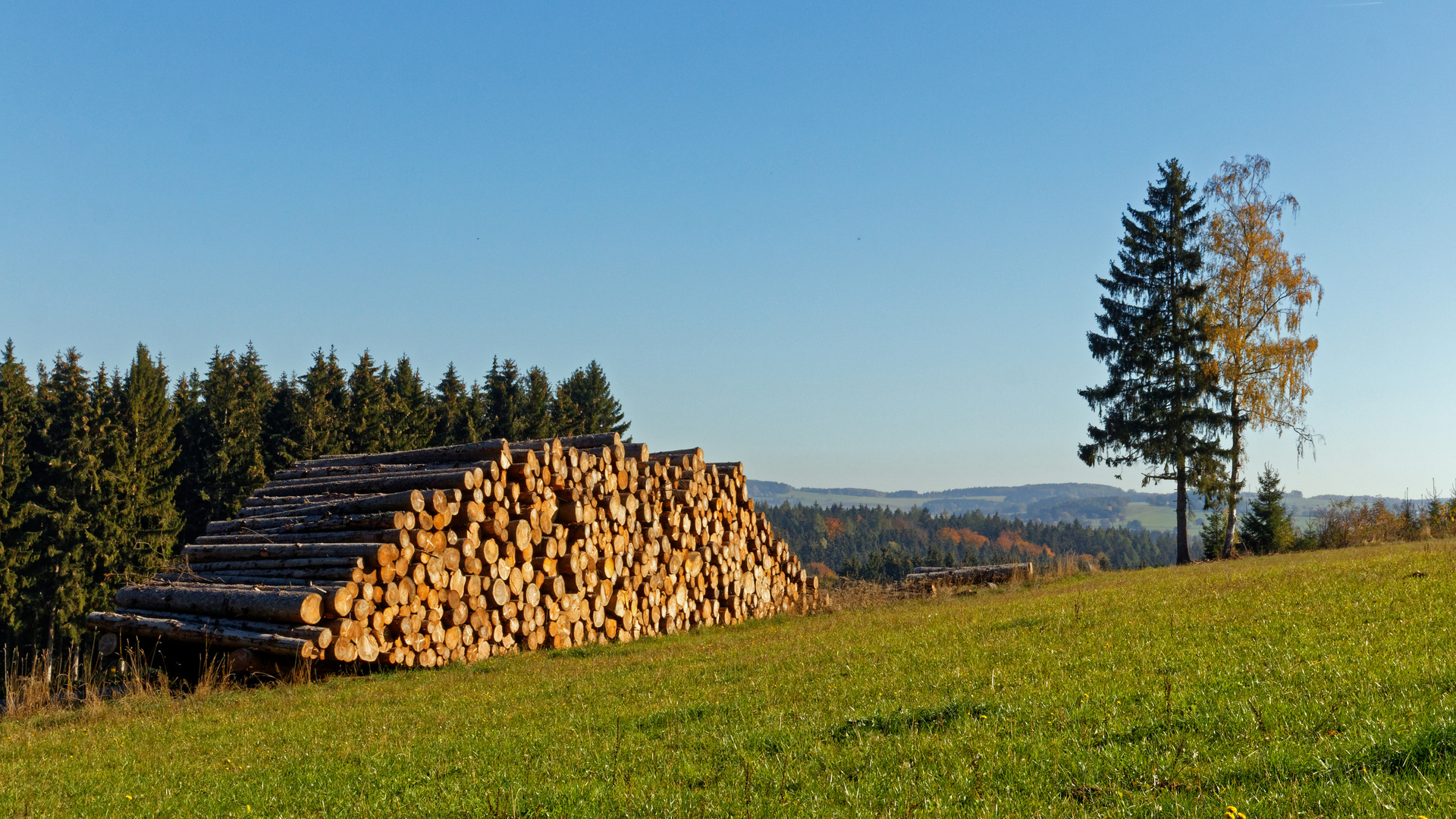 2018_Erzgebirge - zwei haben überlebt