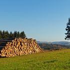 2018_Erzgebirge - zwei haben überlebt