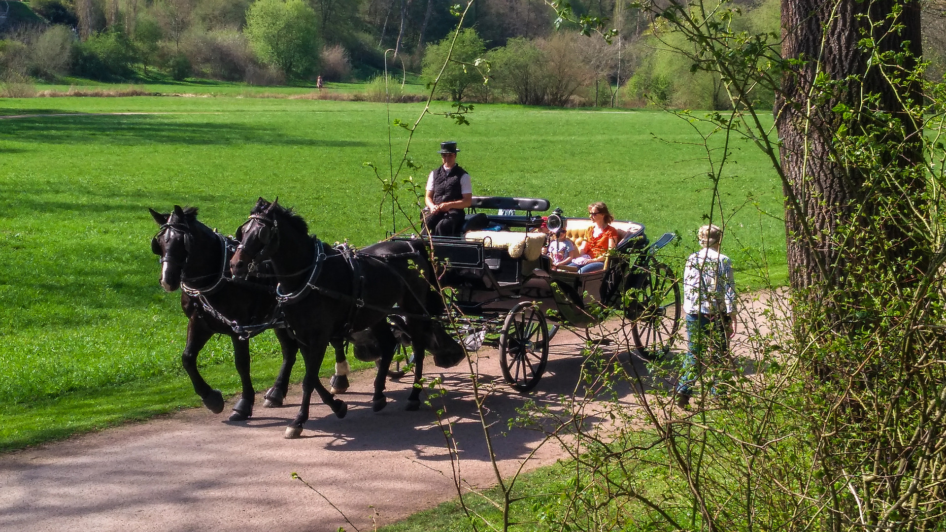 2018_Weimar_Kutschfahrt gefällig?