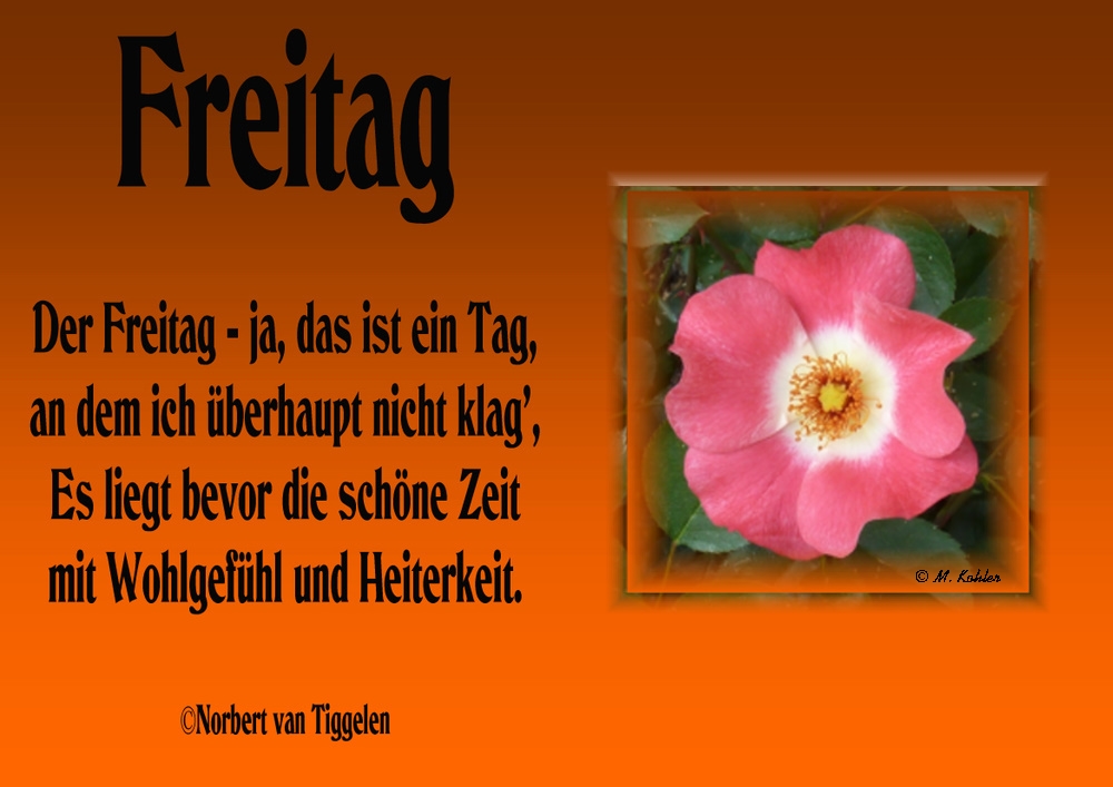 2019-11-22-Freitag