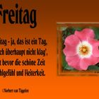 2019-11-22-Freitag