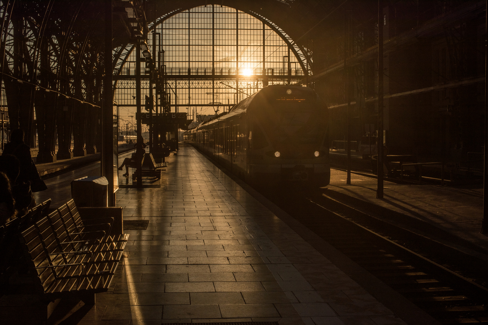 2019-Einfahrender Zug in der Abendsonne im Frankfurter Hauptbahnhof