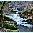 2019 Erbachklamm 