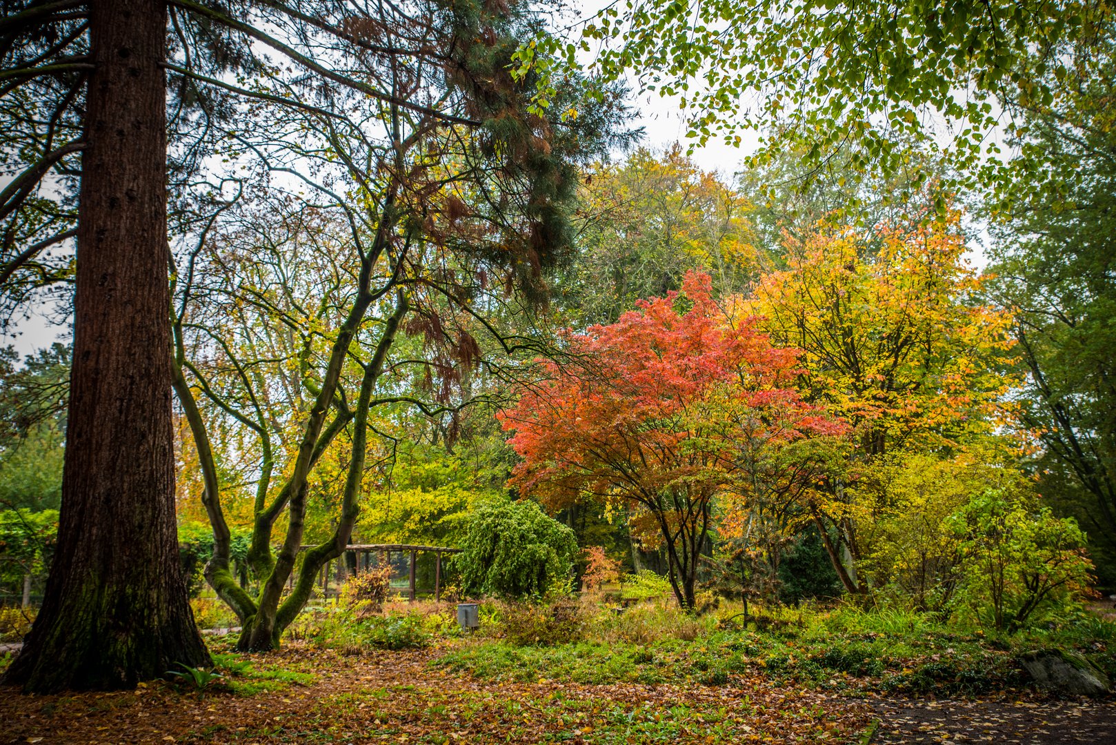 2019 Herbststimmung im Ostpark von Frankfurt