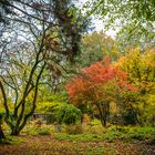 2019 Herbststimmung im Ostpark von Frankfurt