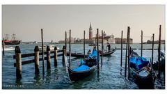 [2019 I Venedig I Lagune]