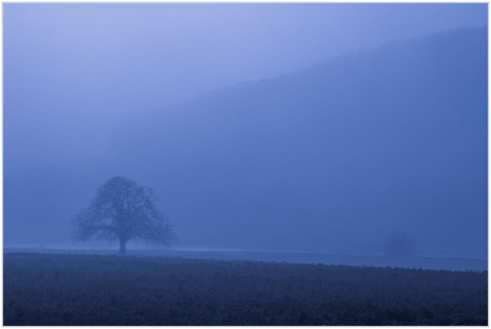 2019: IM NEBEL DER ZUKUNFT VERBORGEN... - alles Gute für das neue Jahr 2019 ! 