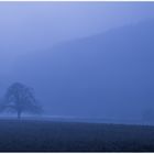 2019: IM NEBEL DER ZUKUNFT VERBORGEN... - alles Gute für das neue Jahr 2019 ! 