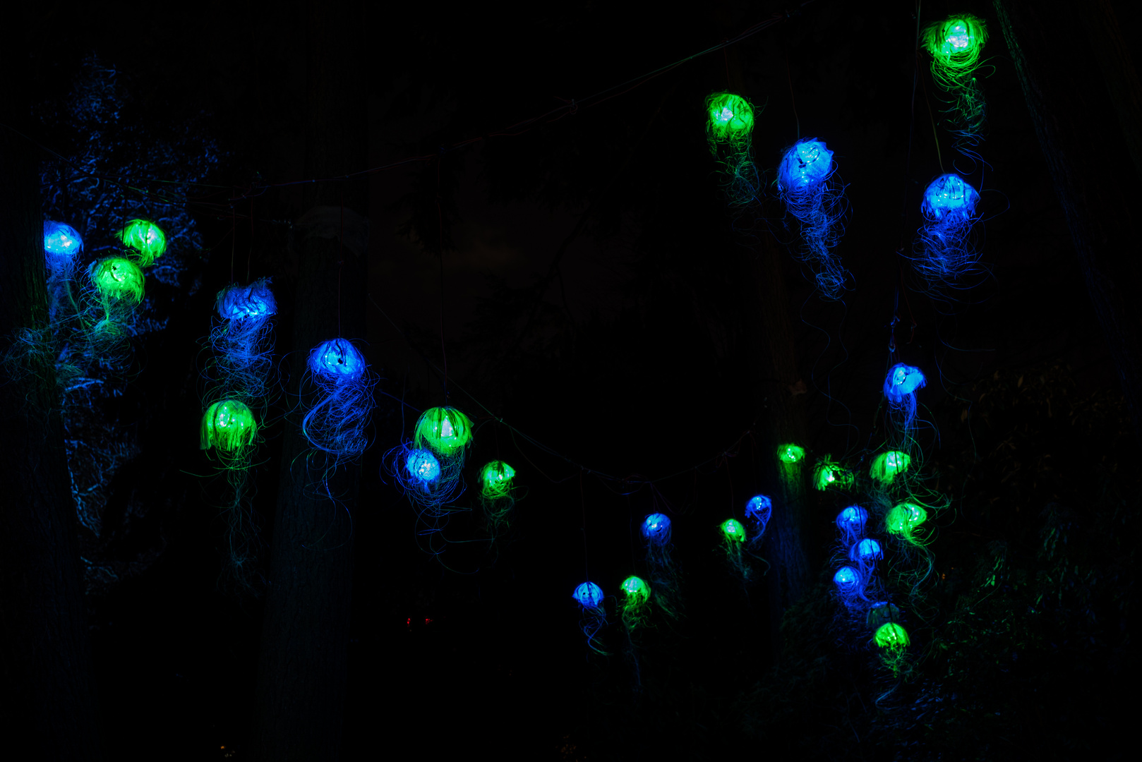 2019 "Lichtquallen" bei den Winterlichtern im Palmengarten