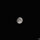 2019-Lune-03