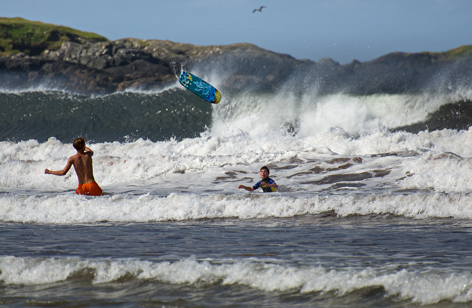 2019 - North Uist - Hosta