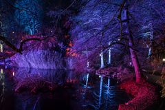 2019 Palmengarten in Frankfurt - der große Weiher während der Winterlichter 2018/19