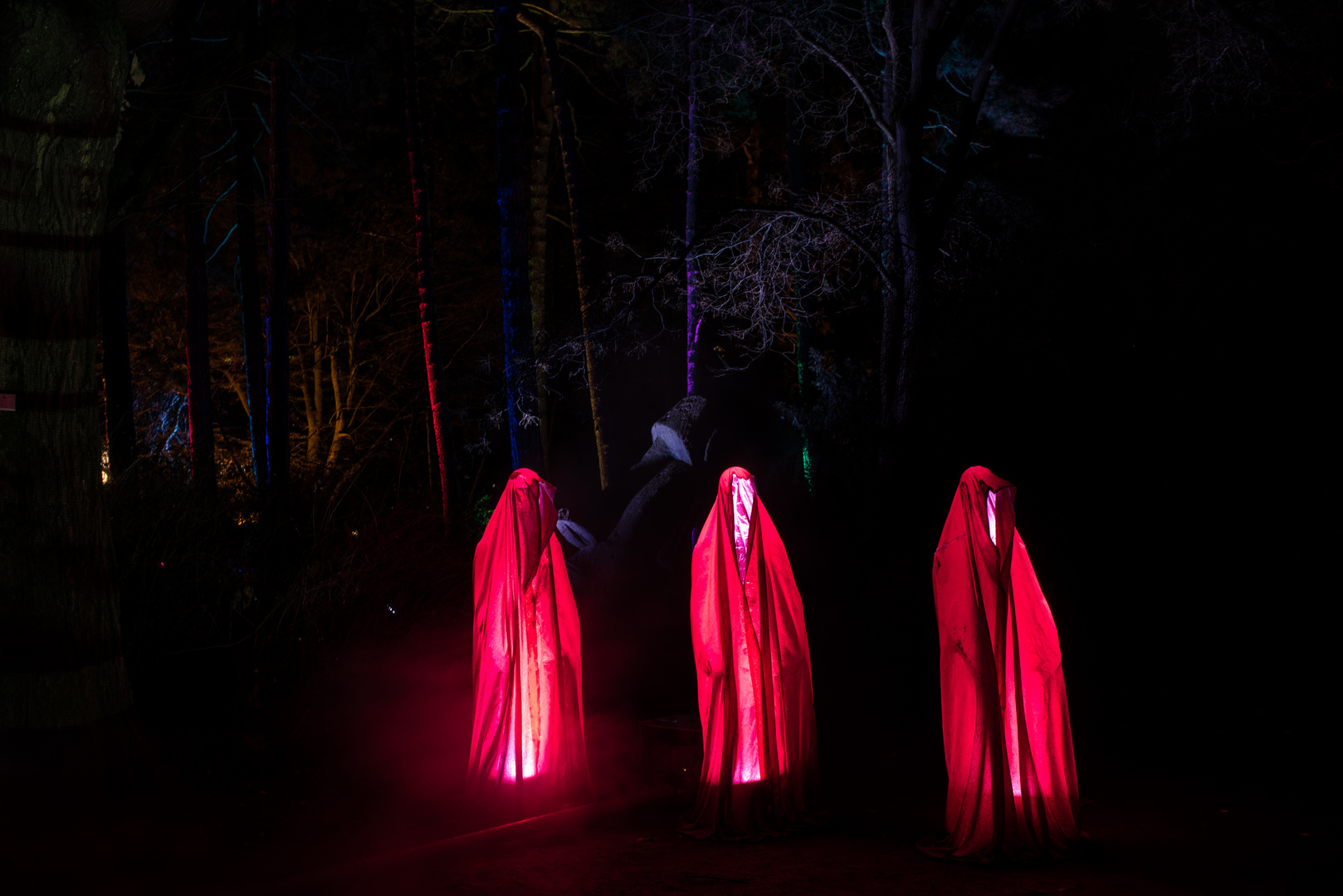 2019 Spirituelle Szene während der Winterlichter im Palmengarten