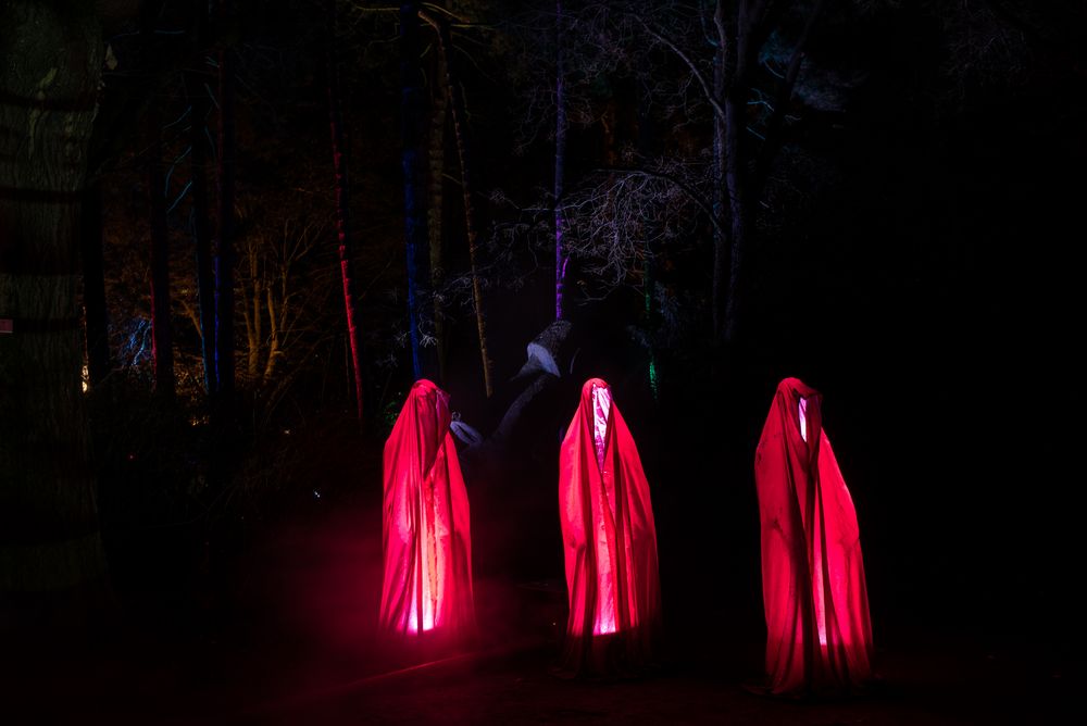 2019 Spirituelle Szene während der Winterlichter im Palmengarten