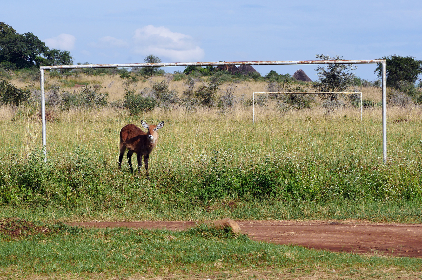 2019 Uganda, Kidepo NP