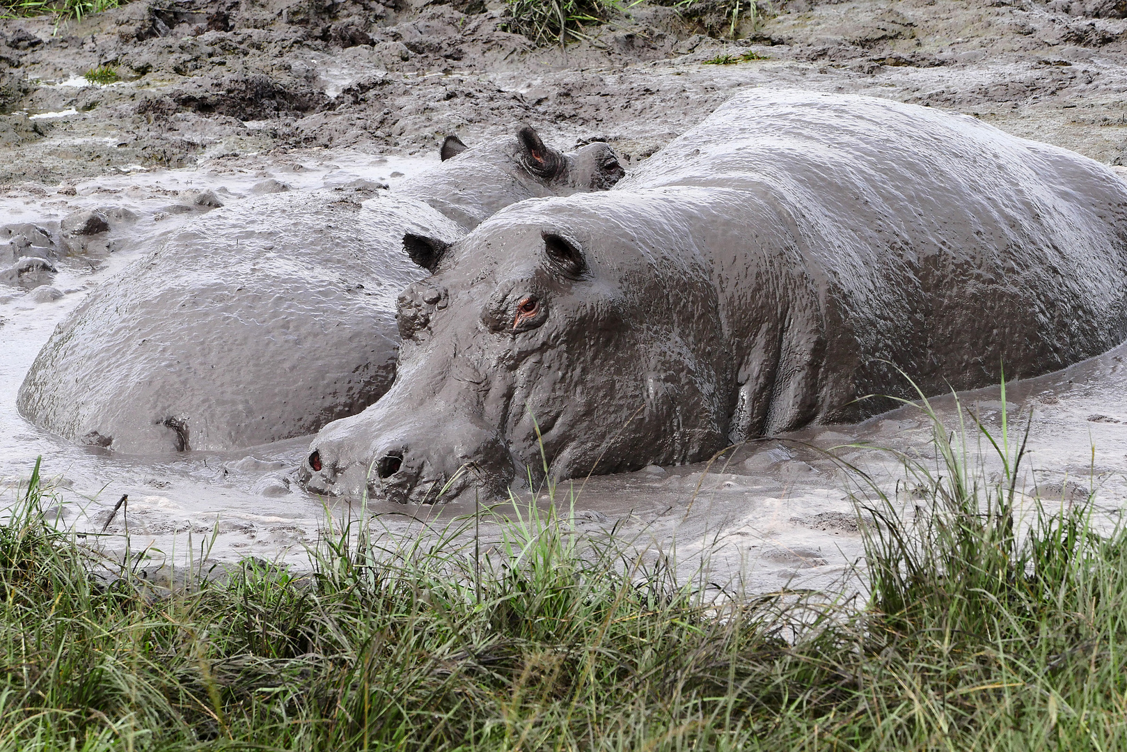 2019, Uganda, Queen Elisabeth NP