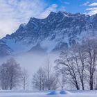 20190127 - Zugspitze-Ehrwald - IMG_3648