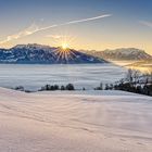 20190206_Sonnenaufgang_Rheintal_3