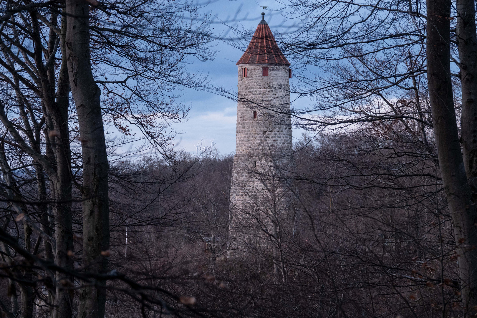 20190308 Ödenturm 1214