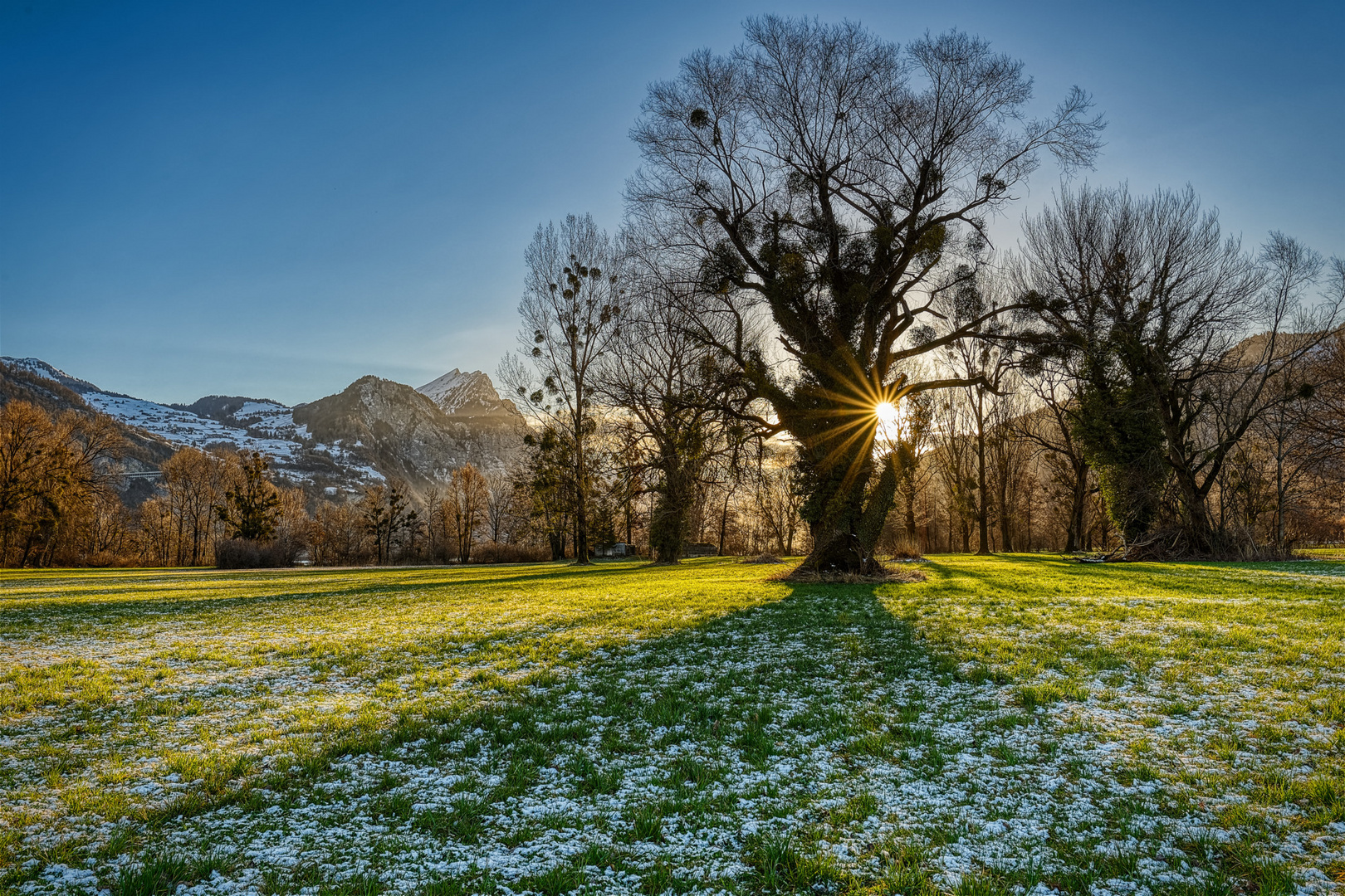 20190312_Sonnenaufgang_Weesen_Baum