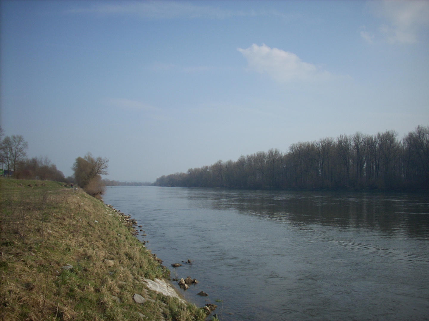 20190324_Donau_1