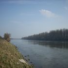 20190324_Donau_1