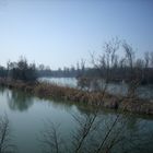 20190324_Isar_Mündungsgebiet_km3,5_1