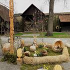 20190404 ARCHIV : Miwoblümchen im Spitalhof  in Dinkelsbühl