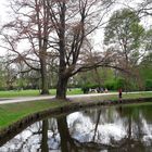 20190424  Spiegeltag :ARCHIV  Hofgarten Bayreuth