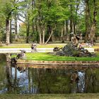 20190425  ARCHIV :Dienstag ist Spiegeltag : Hofgarten Bayreuth