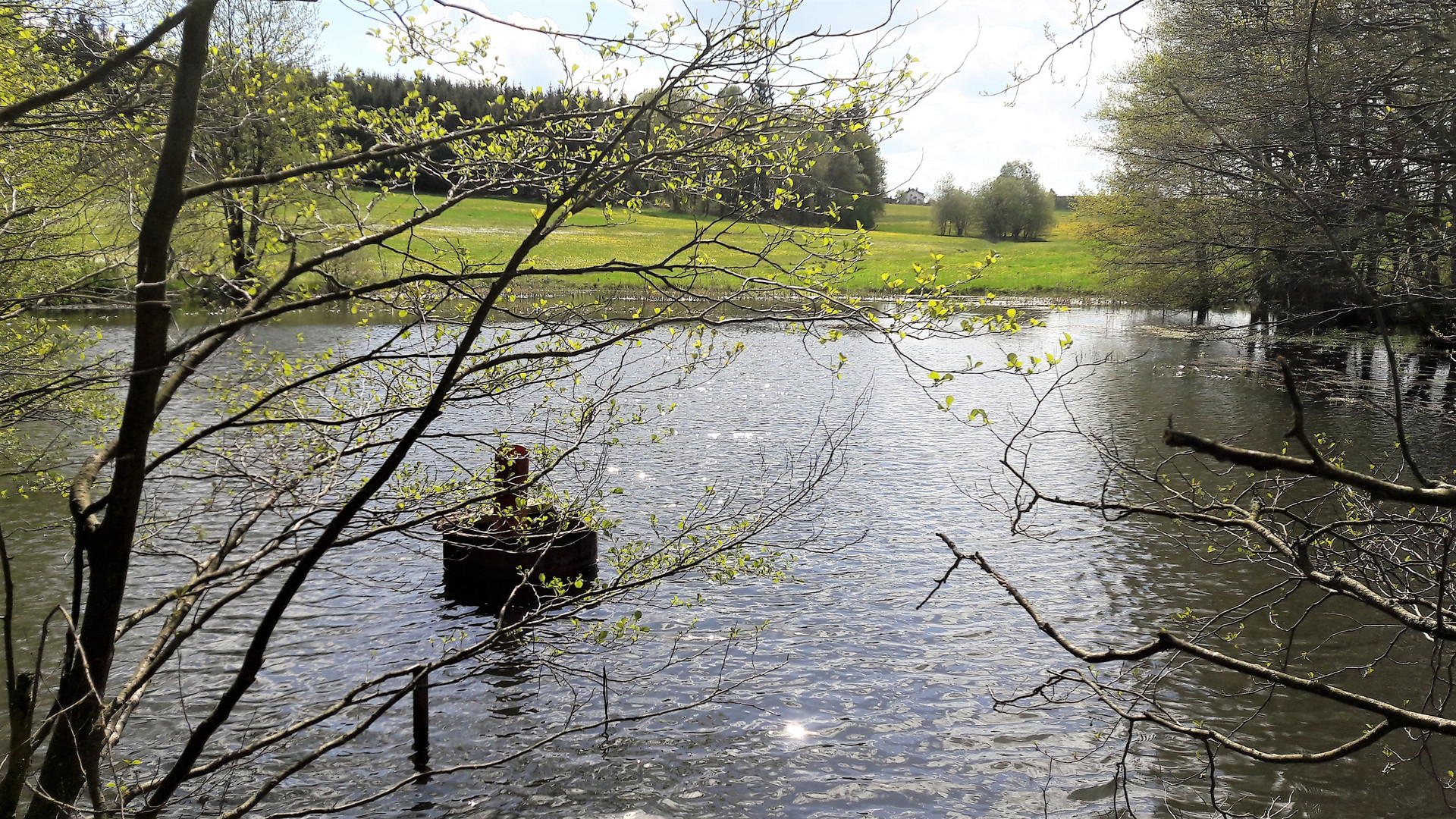 20190510 ARCHIV Frühlingsboten am Lernschwimmteich