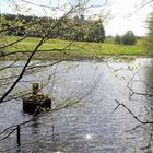 20190510 ARCHIV Frühlingsboten am Lernschwimmteich