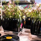 20190512-P1010715Platten-Blumen