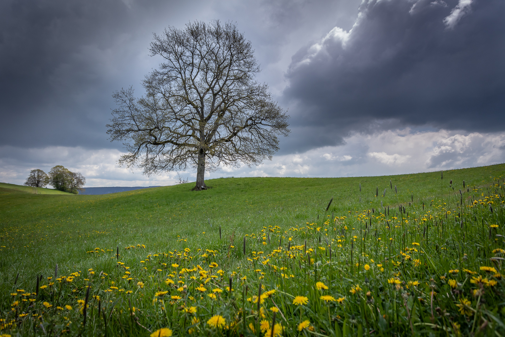 20190512_WanderungBalsthalOberberg_0056_resized