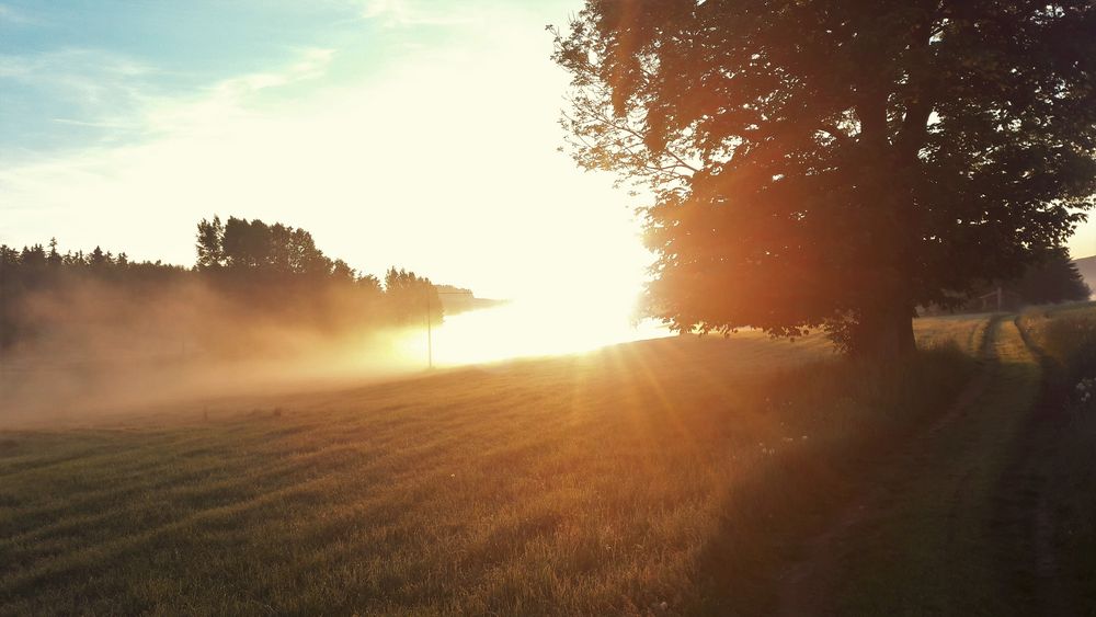 20190602 ARCHIV Nebel kämft mit Sonnenaufgang