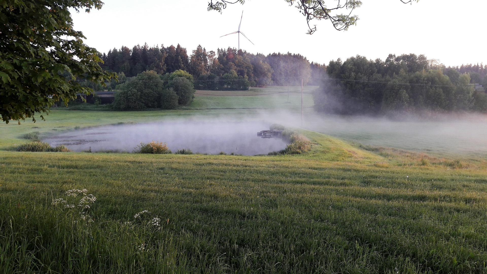 20190602  ARCHIV   " Nebelmaschine" Seerosenteich 