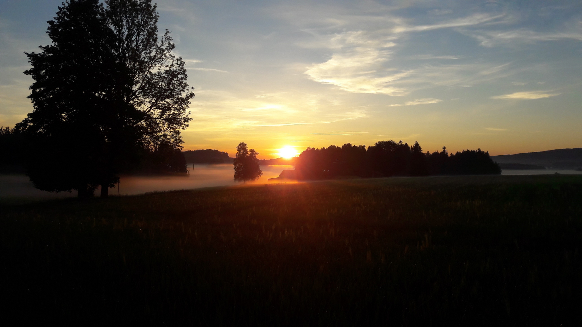 20190602 ARCHIV  Sonnenaufgang  mit Bodennebel I