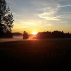 20190602 ARCHIV  Sonnenaufgang  mit Bodennebel I