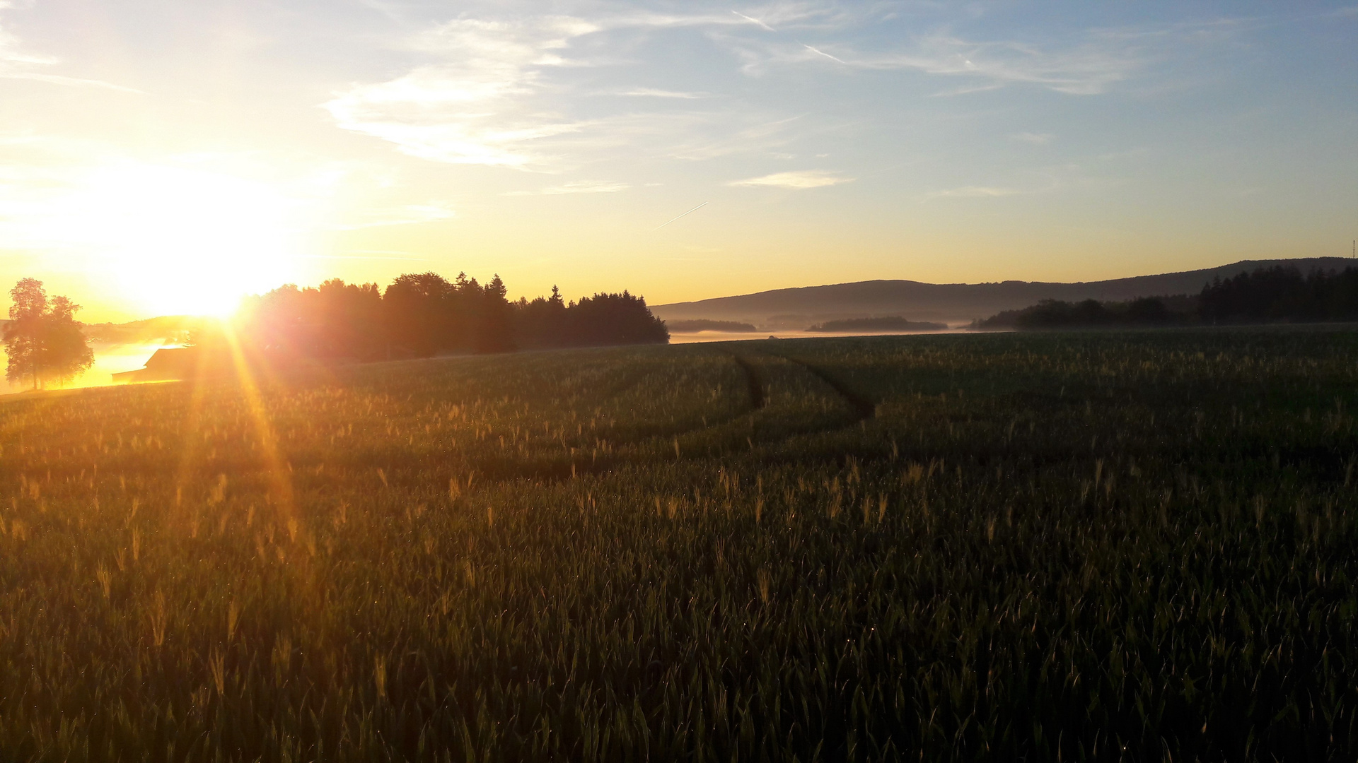 20190602 ARCHIV  Sonnenaufgang  mit Bodennebel II